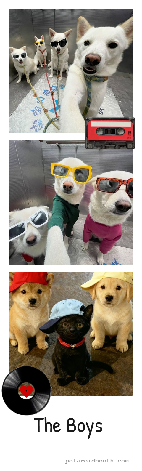 Polaroid Frame Example